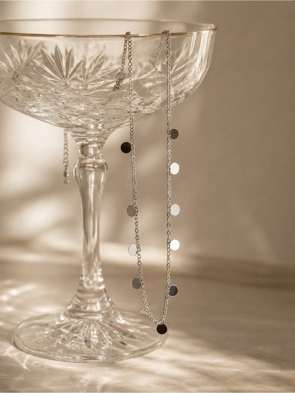 Silver Disc Drop Necklace - Women Jewelry